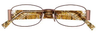 Easyclip Eyeglasses EC253
