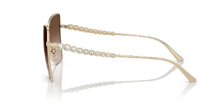 Jimmy Choo Sunglasses JC4010B