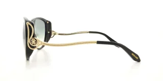 Roberto Cavalli Sunglasses RC 741S