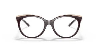 Michael Kors Eyeglasses MK4089U