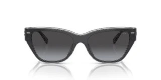 Coach Sunglasses HC8370U