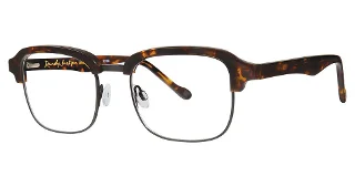 024 Tortoise