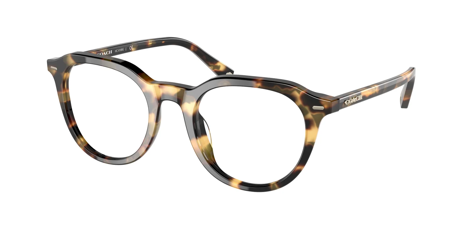 Coach Eyeglasses HC6189U