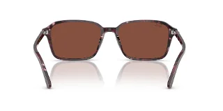 Ray Ban Sunglasses RB2231