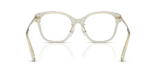 Swarovski Eyeglasses SK2044F