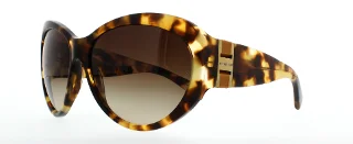 302813 Jet Set Tortoise