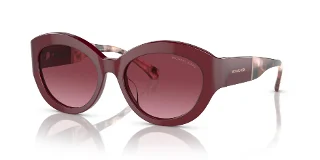 Michael Kors Sunglasses MK2204U