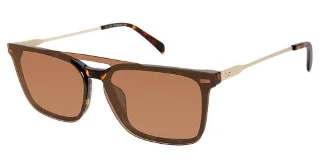 C02 Tortoise/Gold