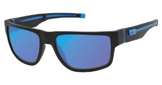 Champion Sunglasses RYDER
