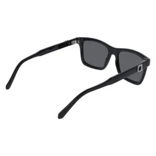 Salvatore Ferragamo Sunglasses SF2060SE