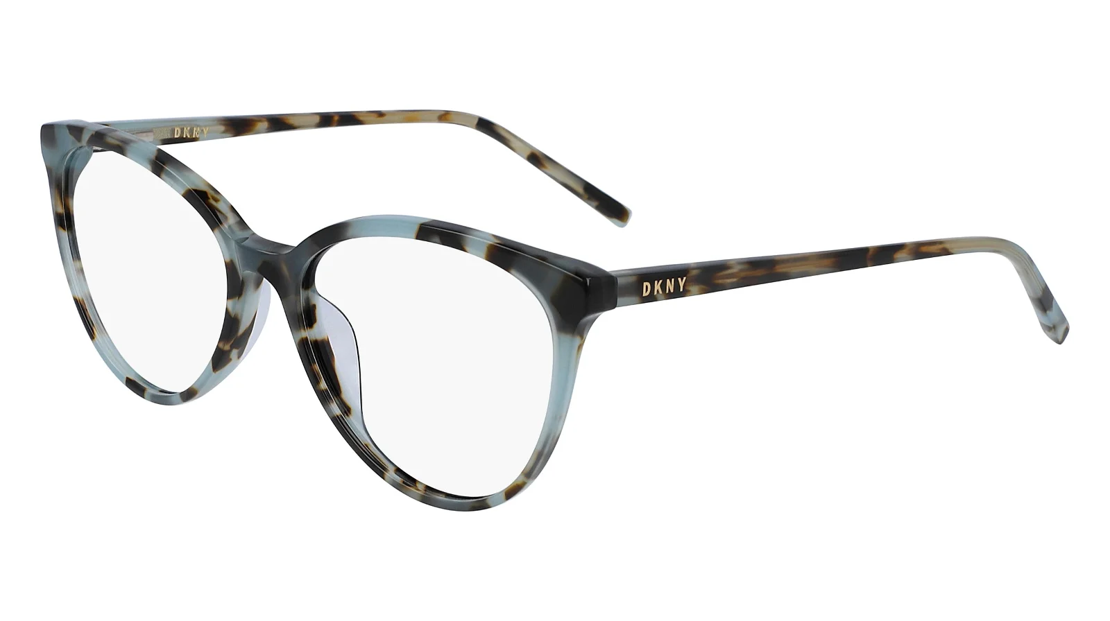 Dkny Eyeglasses DK5003