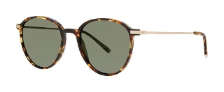 Tortoise (Polarized)