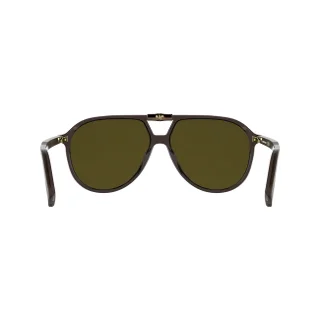 Longchamp Sunglasses LO800S