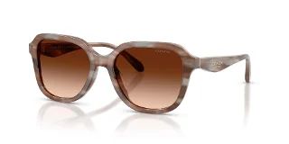 Coach Sunglasses HC8437F