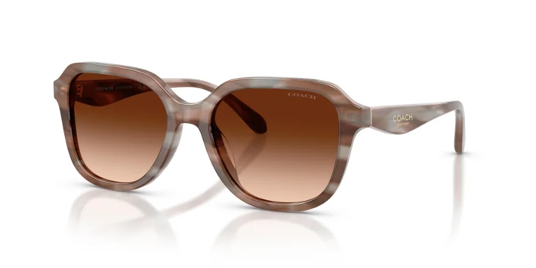 Coach Sunglasses HC8437F