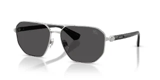 100587 Silver