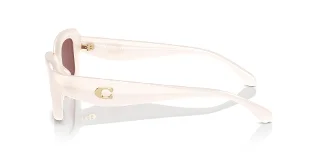Coach Sunglasses HC8390U