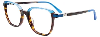 050 Tortoise & Transparent Blue