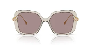 Swarovski Sunglasses SK6011F