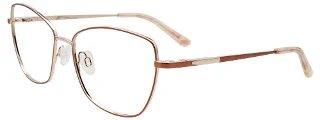 010 Bronze & Silver