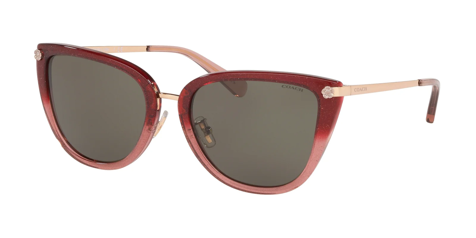 Coach Sunglasses HC8276