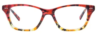 Easyclip Eyeglasses EC453