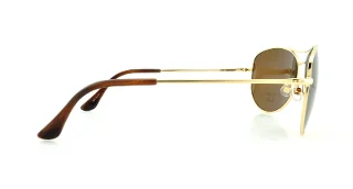 Kate Spade Sunglasses ALLY P/S
