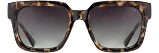 INVU Sunglasses INVU- 272