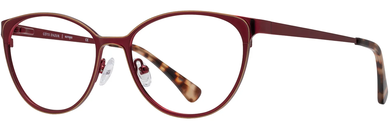 Alan J Eyeglasses CDA-438