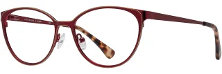 Alan J Eyeglasses CDA-438