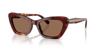 593873 Walnut Tortoise