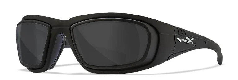 Wiley X Sunglasses BOSS