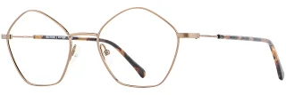 C02 Bronze/Pink Tortoise