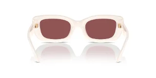 Coach Sunglasses HC8390U