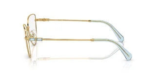 Swarovski Eyeglasses SK1007
