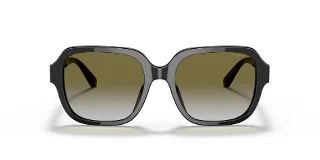 Coach Sunglasses HC8335U