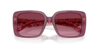 Coach Sunglasses HC8424U
