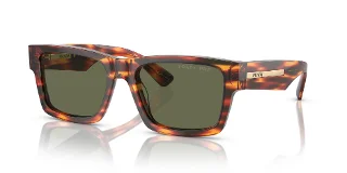 16S03R Striped Briar Tortoise