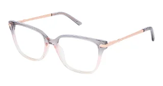 Steel + Tate Eyeglasses SLTA-0037