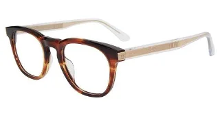 Police Eyeglasses VPLF04