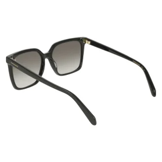 Salvatore Ferragamo Sunglasses SF2102S