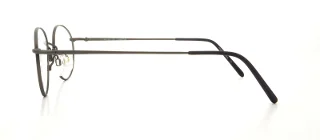 Flexon Eyeglasses 623