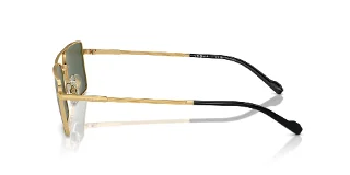 Vogue Sunglasses VO4309S