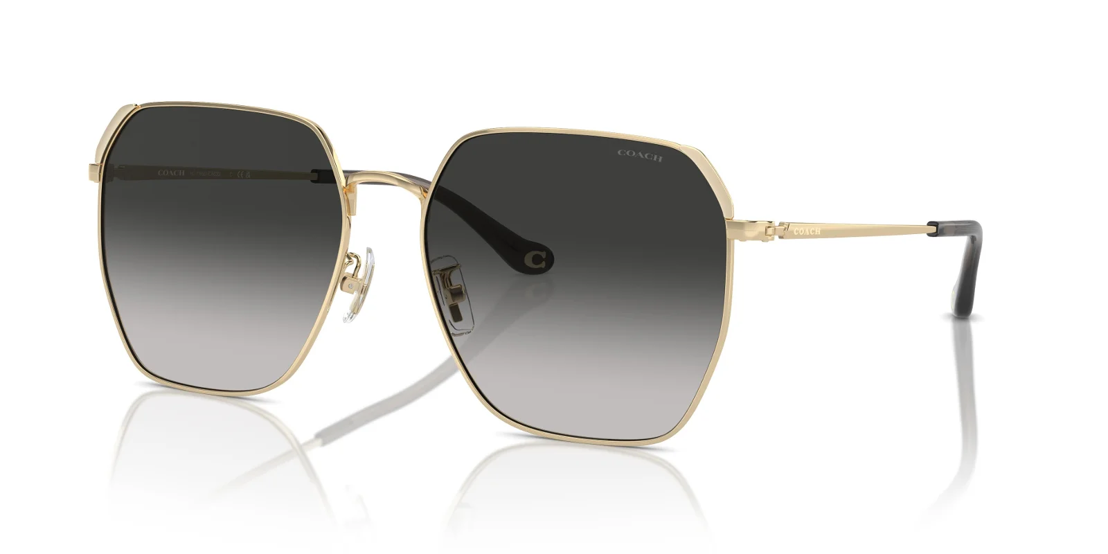 Coach Sunglasses HC7165D