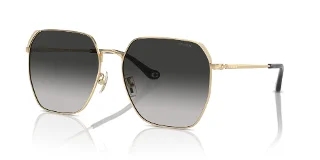 Coach Sunglasses HC7165D