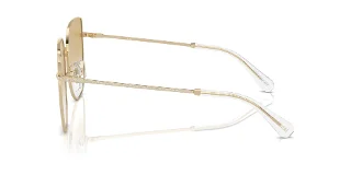 Swarovski Sunglasses SK7021D