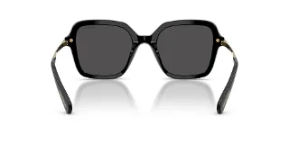 Swarovski Sunglasses SK6040F