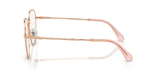 Swarovski Eyeglasses SK1009D