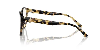 Jimmy Choo Eyeglasses JC3009