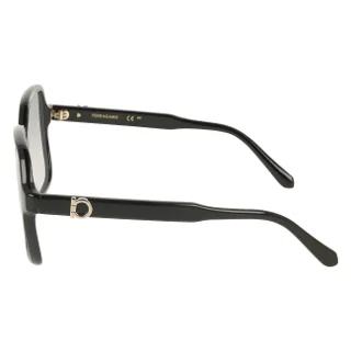 Salvatore Ferragamo Sunglasses SF2069SE